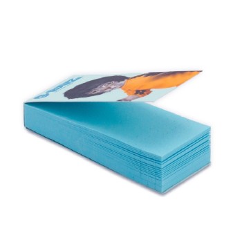 GRollz Pets Rock 'Kung Fu' blue τζιβάνες PR1902G-DIS